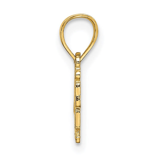 14k HAWAII NO KA OI Charm