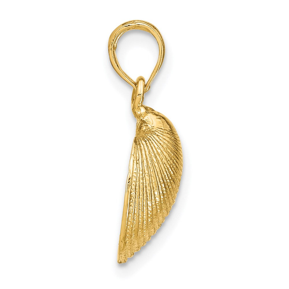 Gold Polished Sea Shells Pendants