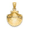 Gold Polished Sea Shell Pendants