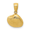 Gold Polished Sea Shells Pendants