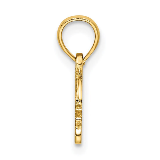 14k Textured Mini Snail Charm