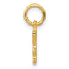 14k Saint Bernard Dog Charm