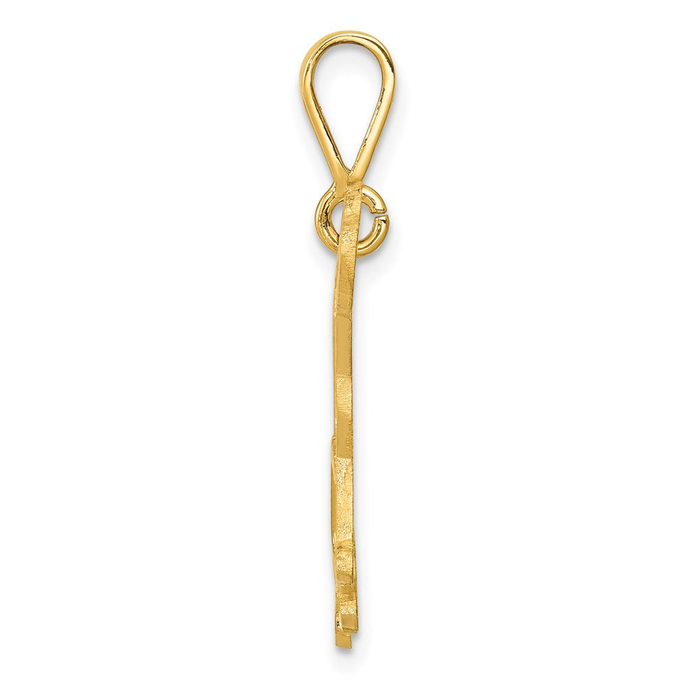 14k Textured Labrador Dog Pendant