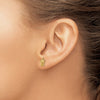 Gold Turtle Post Earrings