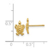 14K Mini Turtle Post Earrings