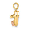 14k 3-D Two-tone Baby Shoe with Bow Charm