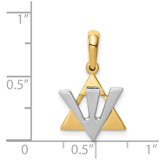 14K Two-tone Star of David with Shin Symbol Charm