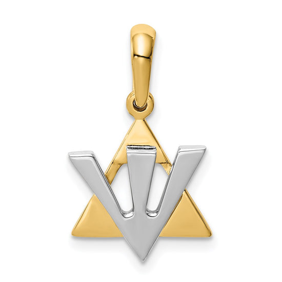 14K Two-tone Star of David with Shin Symbol Charm