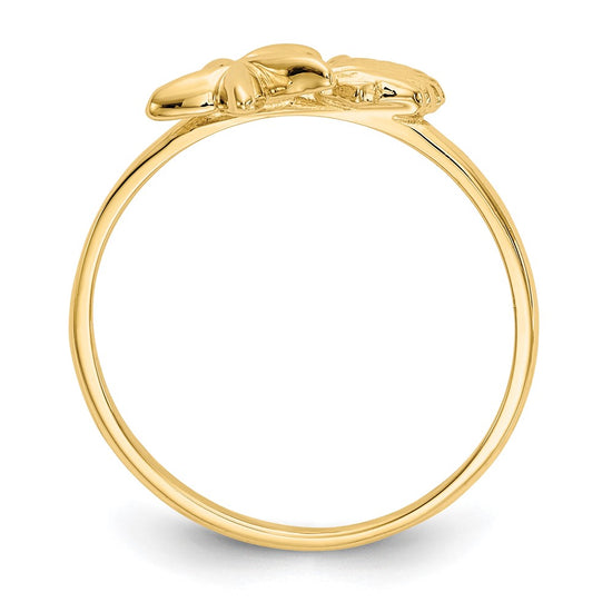 Gold Polished Sea Shell Rings