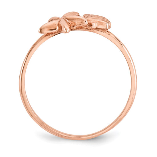 Gold Polished Sea Shell Rings