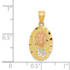 14k Two-tone with White Rhodium Diamond-cut Our Lady of Guadalupe with 15 Pendant