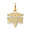14k Diamond-cut Polished RN Registered Nurse Pendant