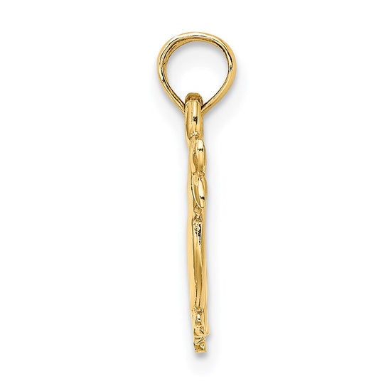 Gold 3D two Duck Charm