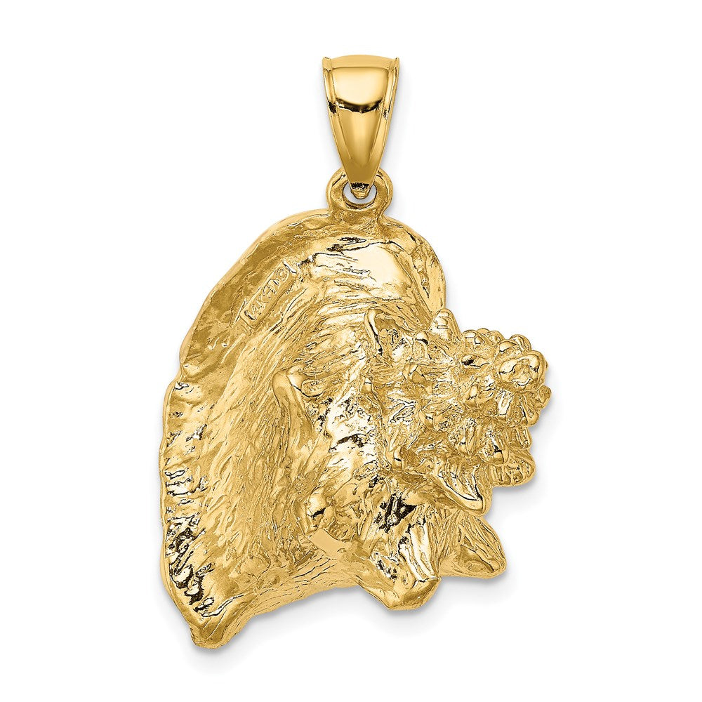 Gold Polished Sea Shell Pendants
