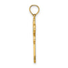 14K Multi-Color Enamel Dragonfly Charm