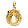 Gold Polished Sea Shell Pendants