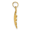 14K Scallop Shell Charm