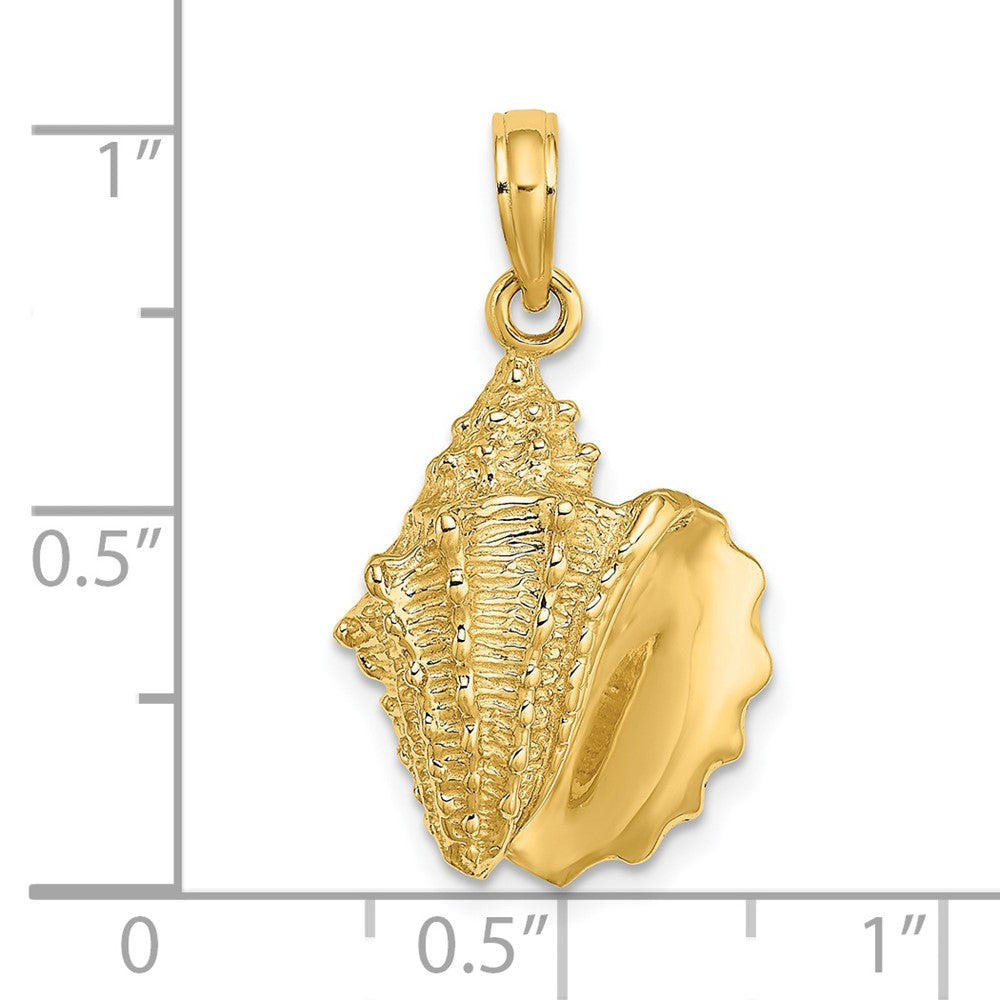 Gold Polished Sea Shell Pendants