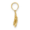 14K 2-D Polished Textured Humu Humu Fish Charm