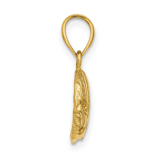 14K 2-D Polished Textured Bannerfish Charm