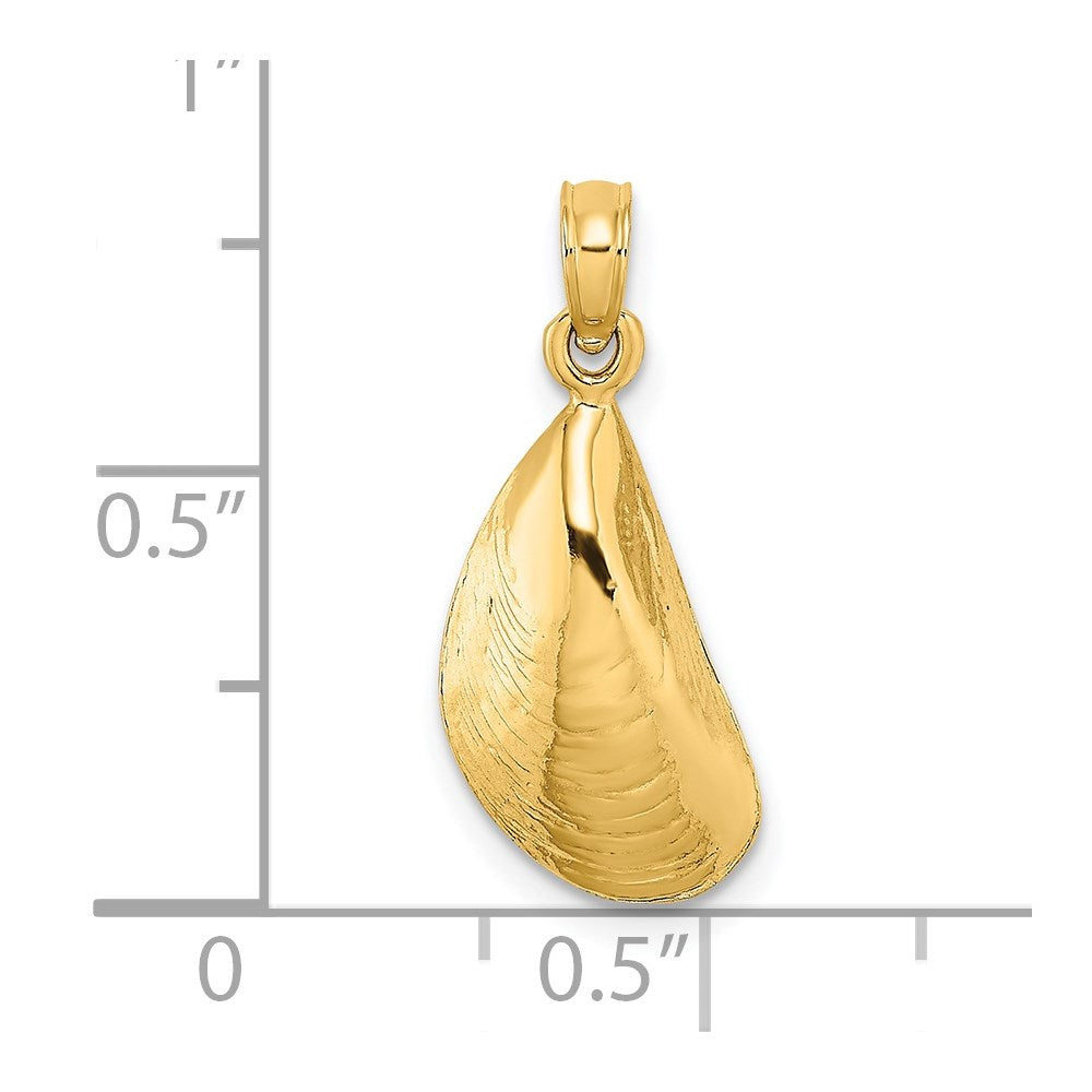 Gold Polished Sea Shell Pendants