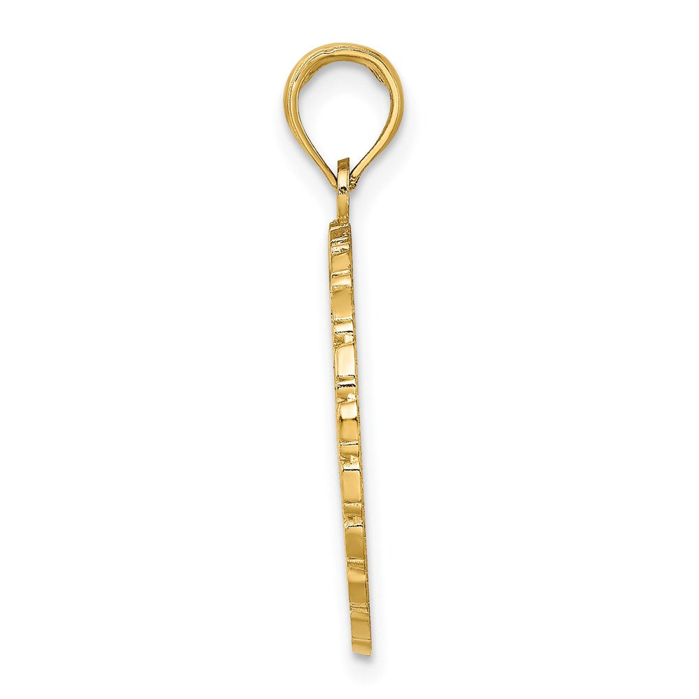 Gold Polished Hawaii Pendants