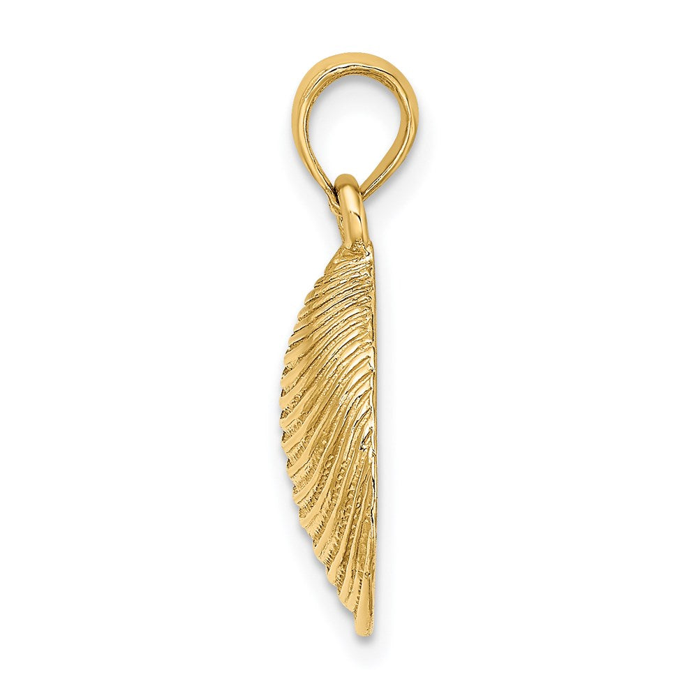 Gold Polished Sea Shell Pendants
