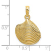 Gold Polished Sea Shell Pendants