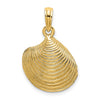Gold Polished Sea Shell Pendants