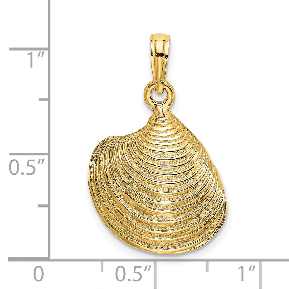 Gold Polished Sea Shell Pendants