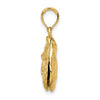 Gold Polished Sea Shell Pendants