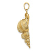 Gold Polished Sea Shell Pendants