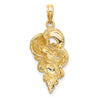 Gold Polished Sea Shell Pendants