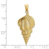 Gold Polished Sea Shell Pendants