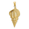 14K Wentletrap Shell Charm