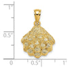 Gold Polished Sea Shell Pendants