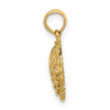 Gold Polished Sea Shell Pendants