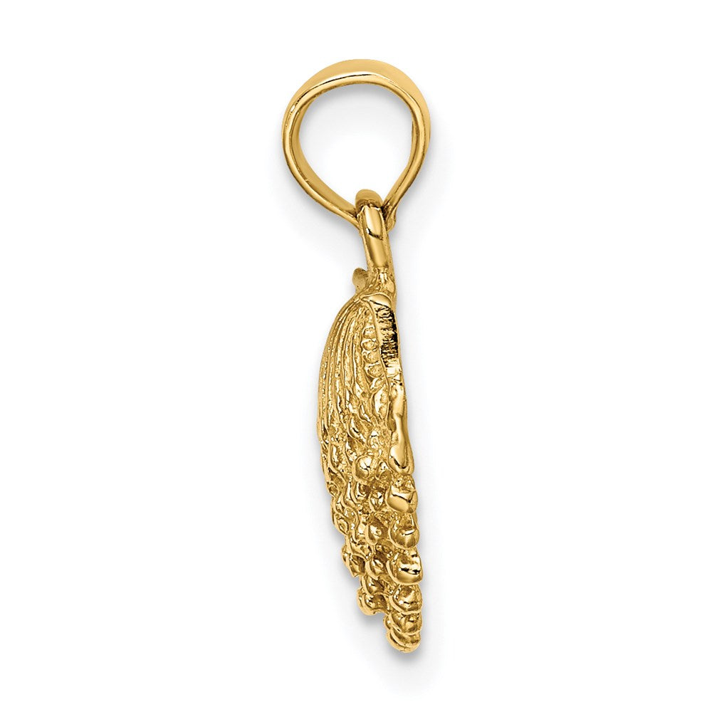 Gold Polished Sea Shell Pendants