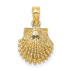 Gold Polished Sea Shell Pendants
