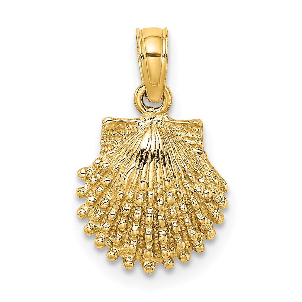 Gold Polished Sea Shell Pendants