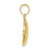 14K Polished  Textured Butterfly Fish Charm