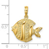 14K Polished  Textured Butterfly Fish Charm