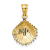Gold Polished Sea Shell Pendants