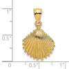 Gold Polished Sea Shell Pendants