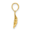 14K Polished Textured Bannerfish Charm