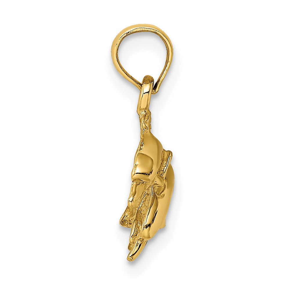 Gold Polished Dolphin Pendants