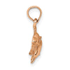 Gold Polished Dolphin Pendants