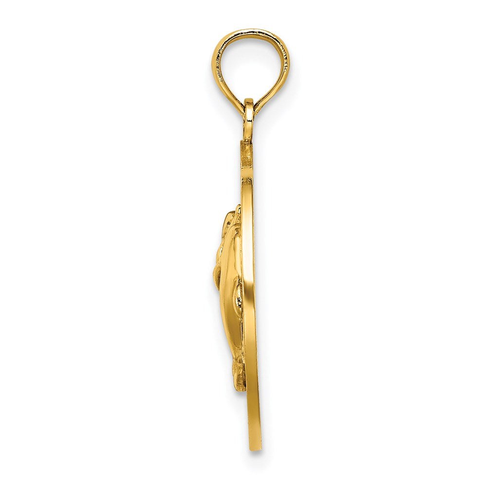 Gold Polished Mystic CT Pendant