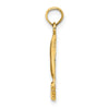 14K JAMAICA with Dolphins Charm
