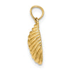 Gold Polished Sea Shell Pendants